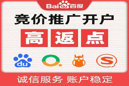 竞价推广公司经典案例：打造行业领先的广告投放效果